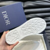 desc_dior-b33-sneaker_0