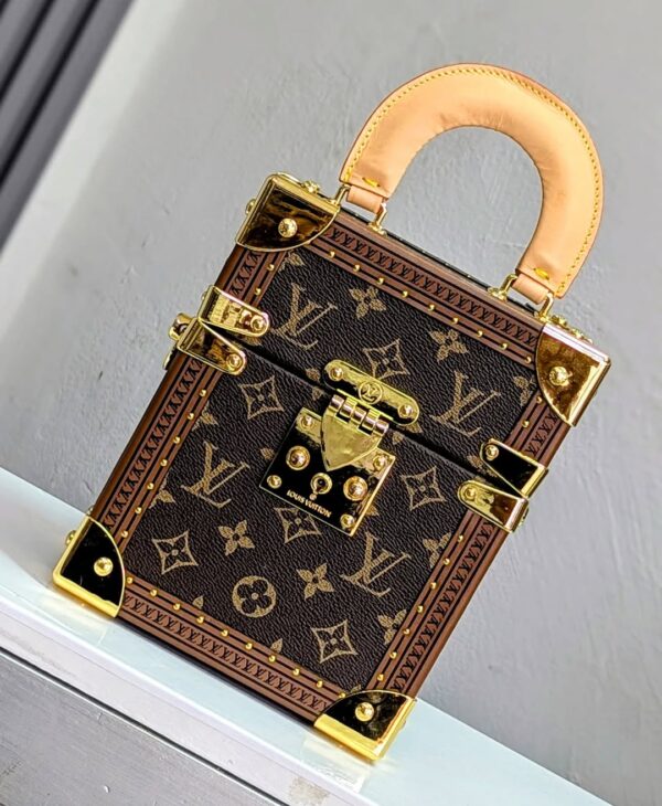 Louis Vuitton Monogram Camera Box Bag