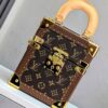 Louis Vuitton Monogram Camera Box Bag