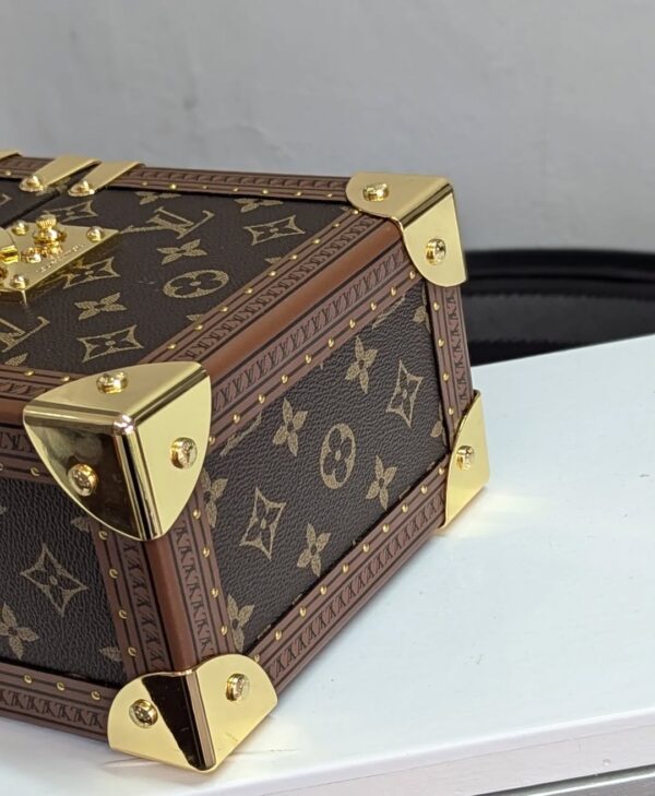 Louis Vuitton Monogram Camera Box Bag - Image 5