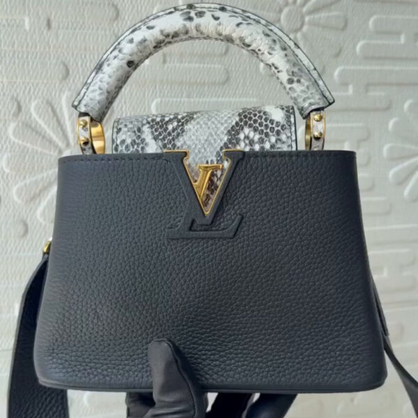 Louis Vuitton Capucines Mini in Grained Taurillon Noir & Python